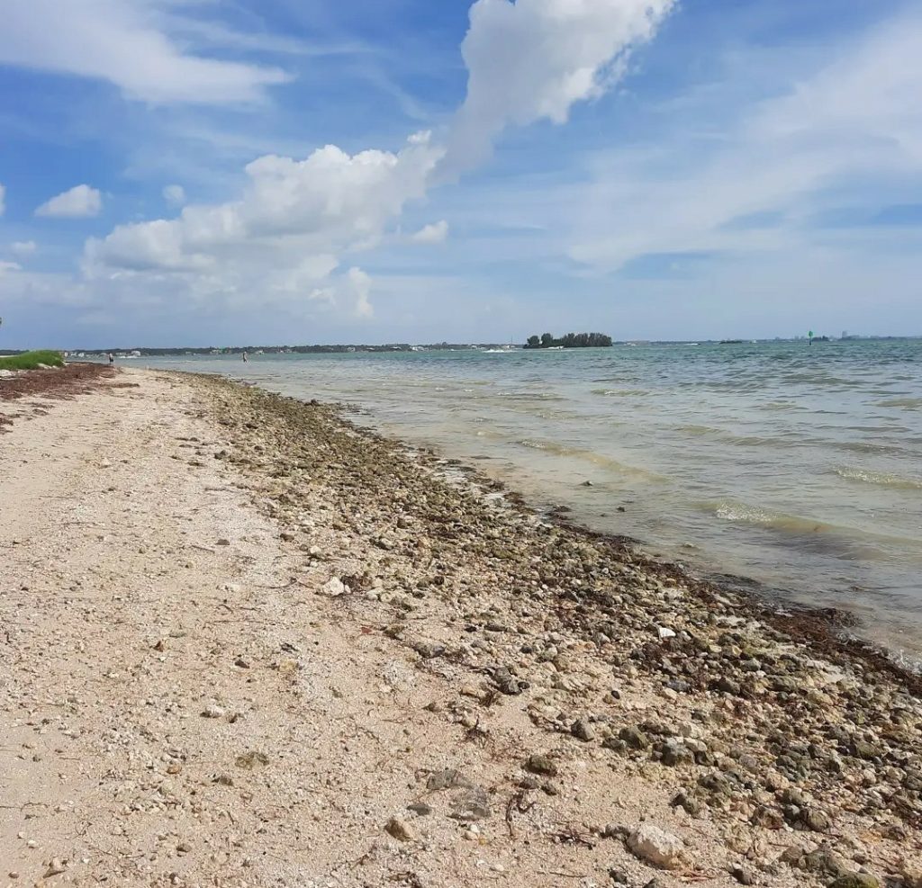 Dunedin Causeway